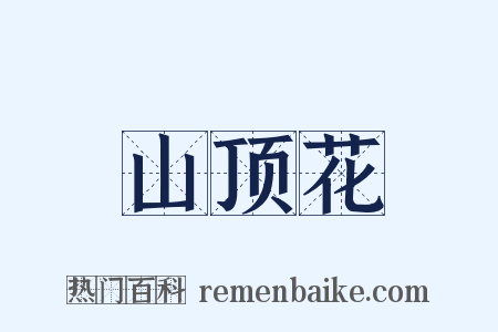山顶花是什么意思的图片